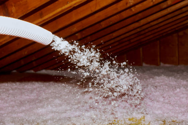 Best Geographic-Specific Insulation Services in New Johnsonville, TN