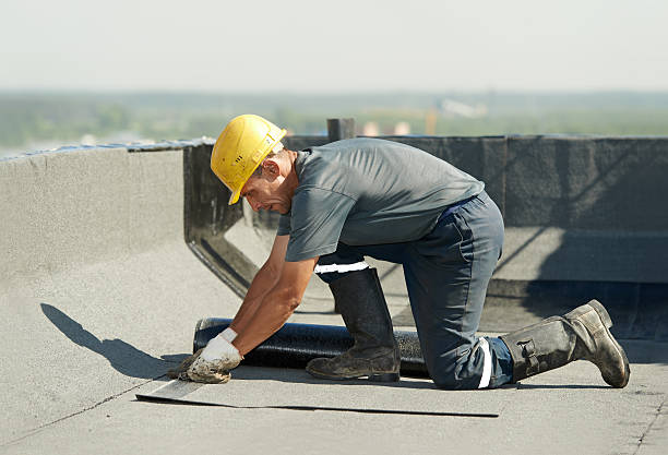 Best Cellulose Insulation in New Johnsonville, TN